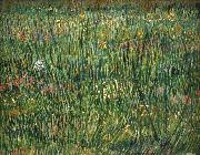 Vincent Van Gogh Patch of Grass
